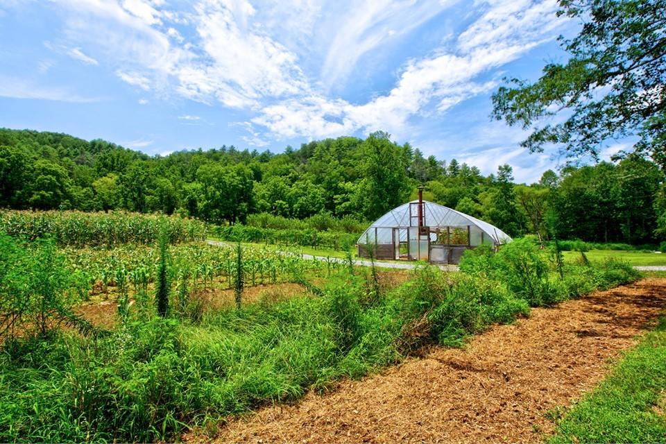 270 Price Road Reliance, TN 37369 - Photo 3 of 49 270 Price Rd. Garden