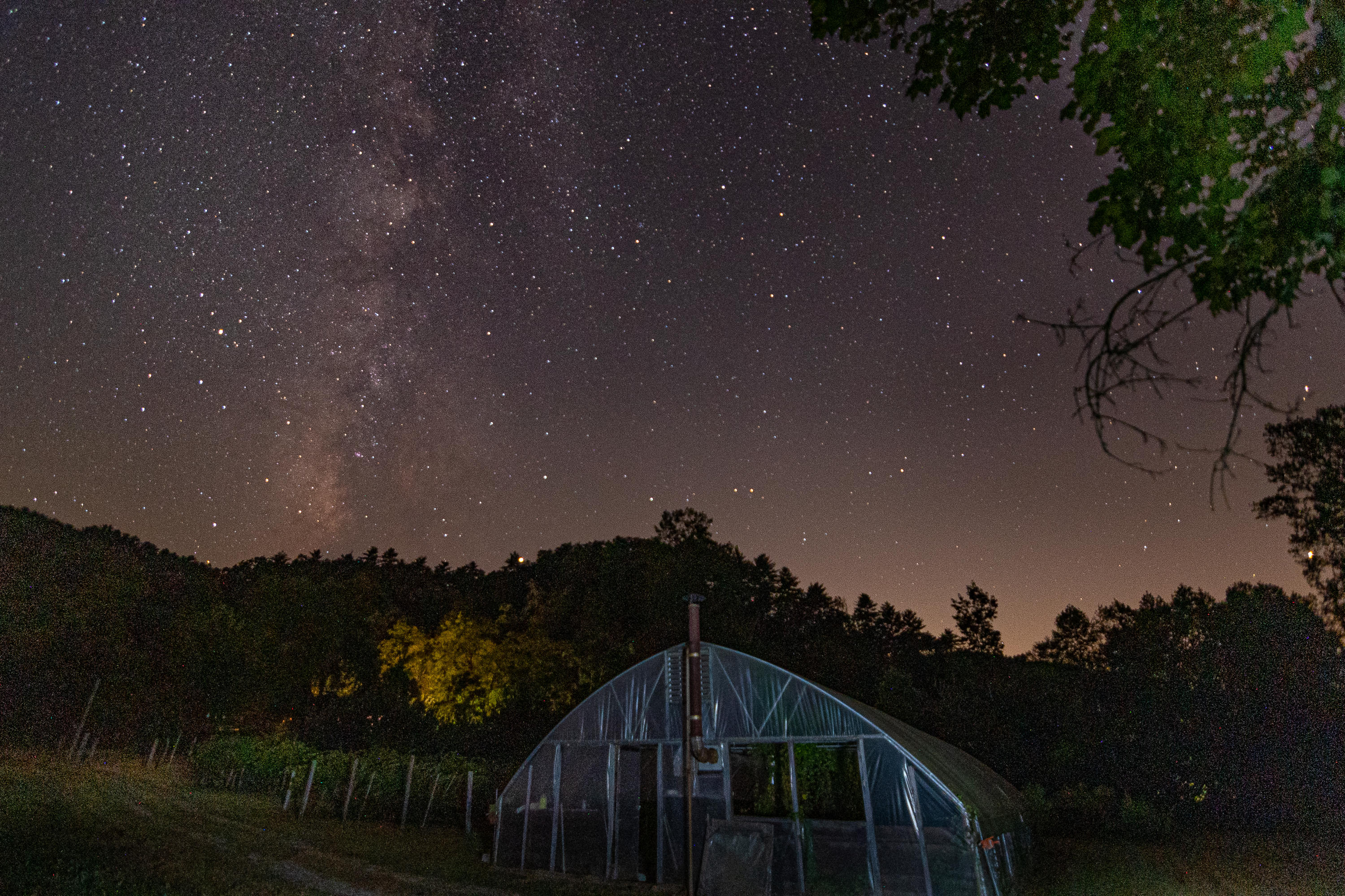 270 Price Road Reliance, TN 37369 - Photo 6 of 49 Green House MilkyWay-7506