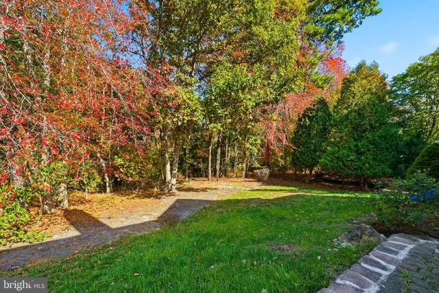 a view of yard with trees
