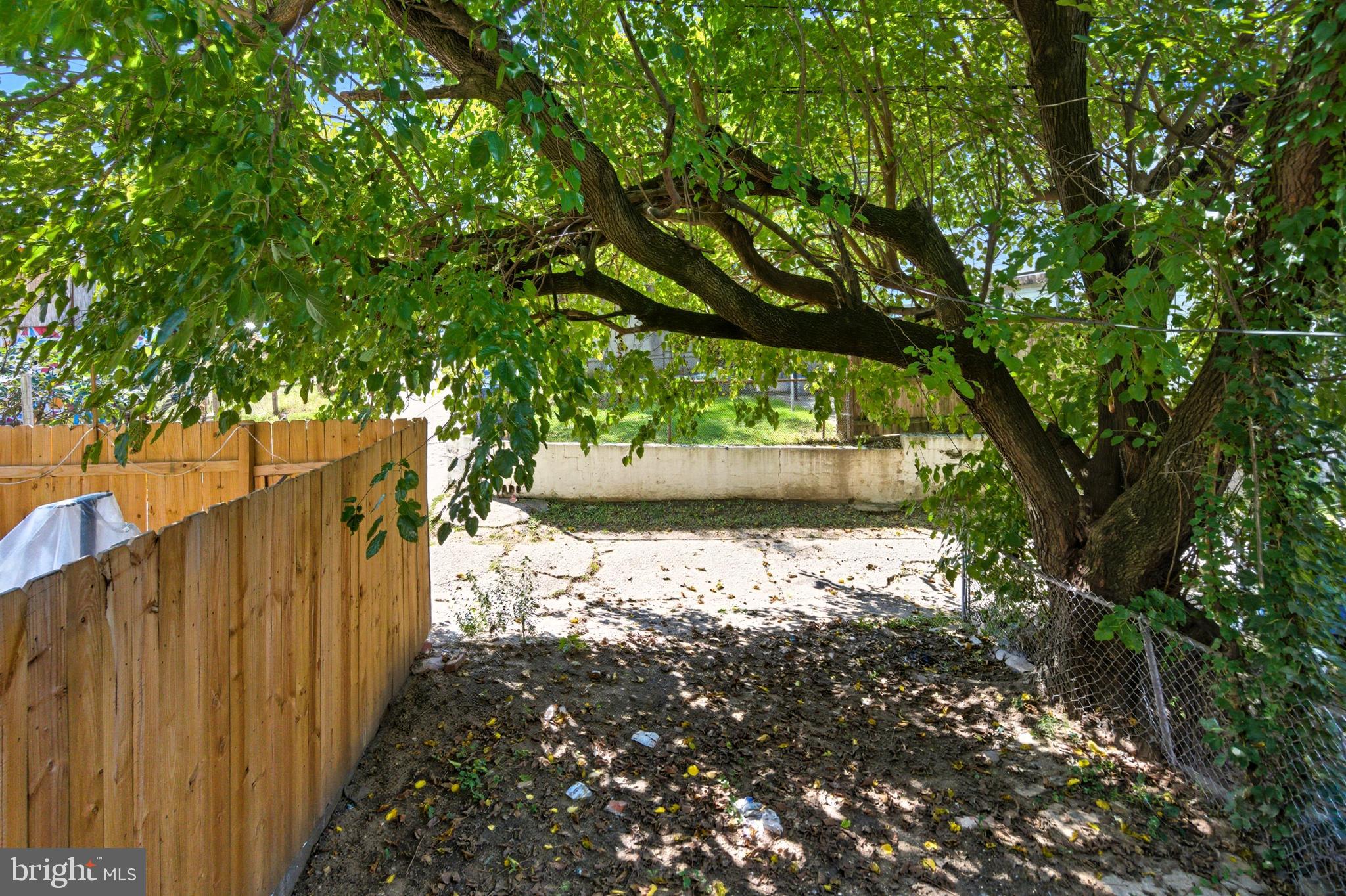809 East Pontiac Avenue Baltimore, MD 21225 - Photo 35 of 36 a view of small yard with large trees