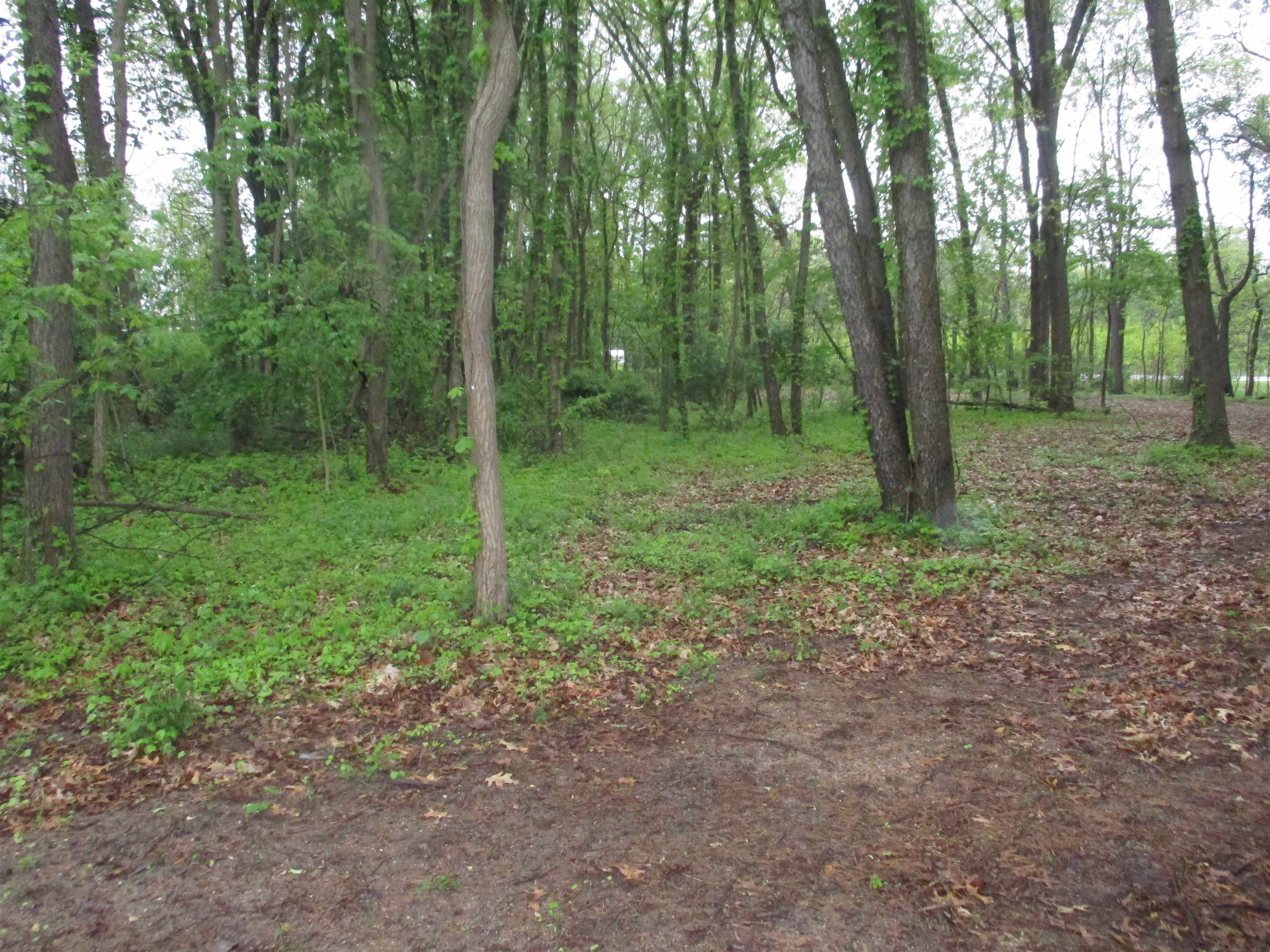 0 County Road 10 Granger, IN 46530 - Photo 4 of 11
