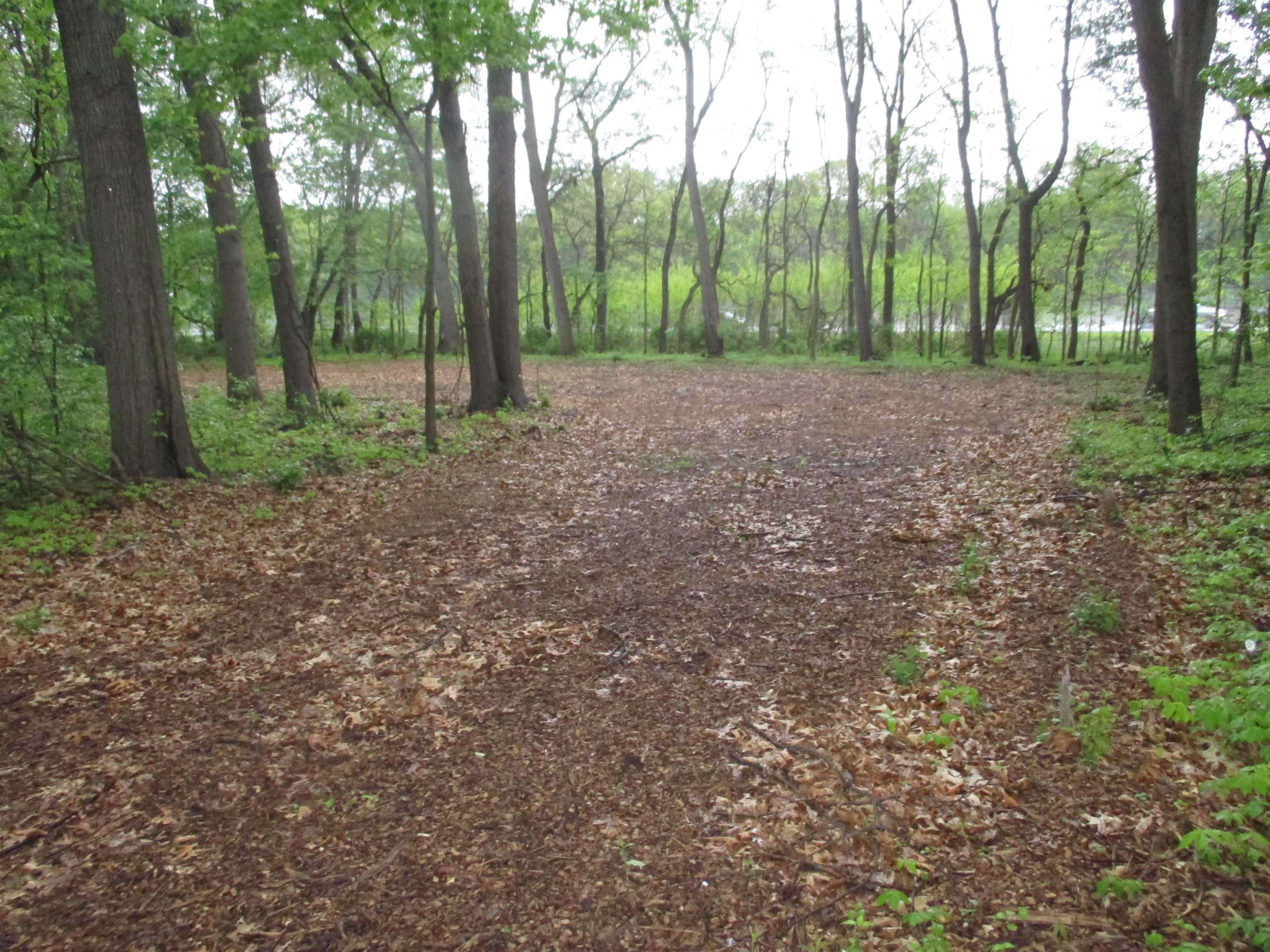 0 County Road 10 Granger, IN 46530 - Photo 5 of 11