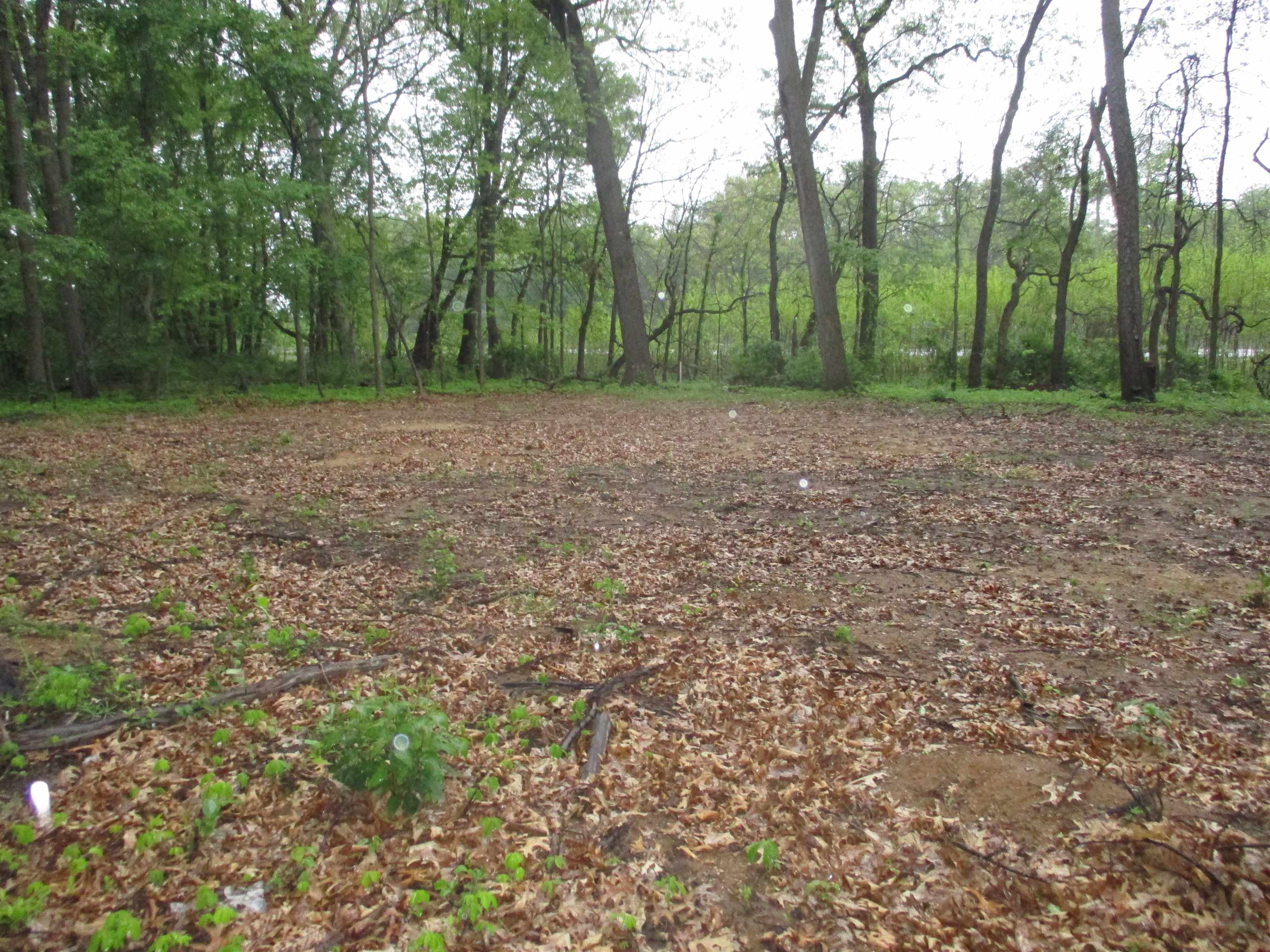 0 County Road 10 Granger, IN 46530 - Photo 10 of 11