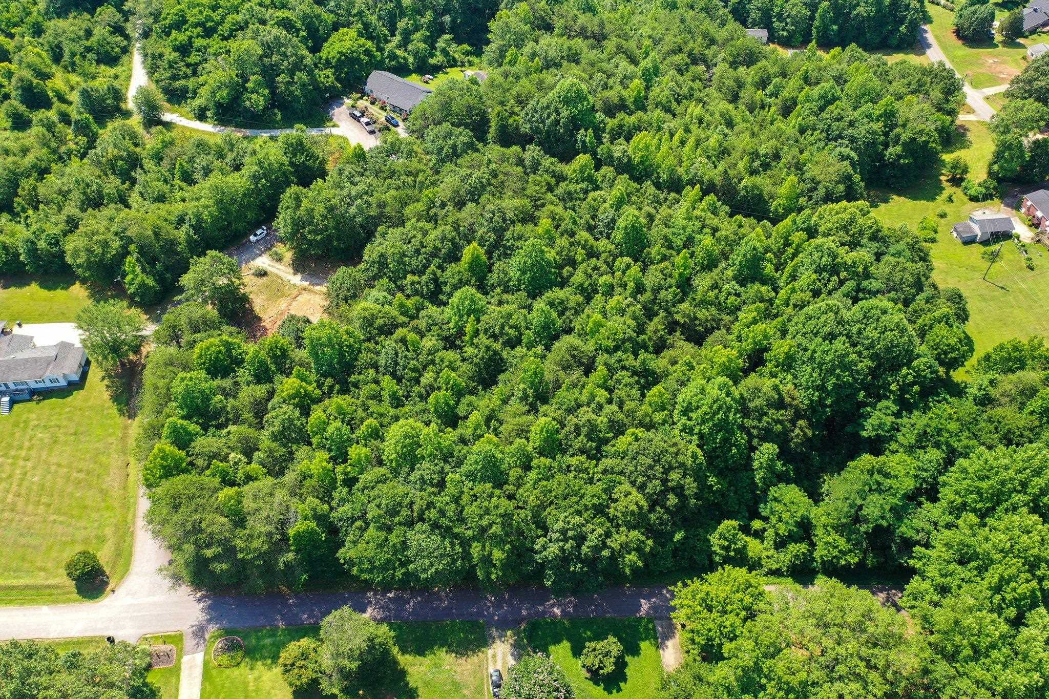 0 Cheek Road Greer, SC 29651 - Photo 3 of 9 Gallery Image 3