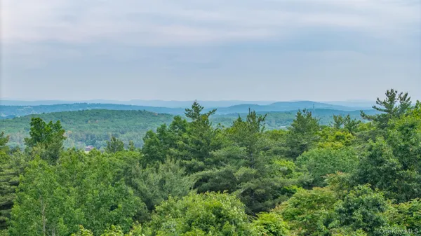 $299,000 | Tbd Skinner Lane, Athens, NY 12015
