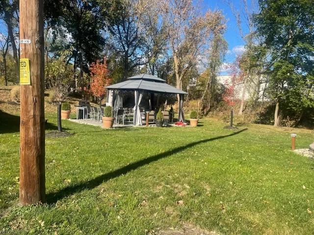 a view of a park with large trees