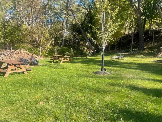 a view of a park with large trees