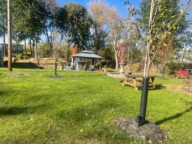 a view of a backyard with large trees