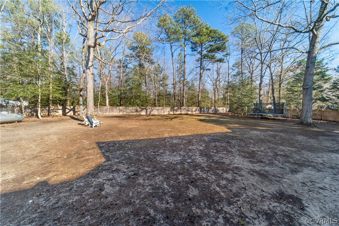 13020 Carters Way Road Chesterfield, VA 23838 - Photo 44 of 49 a view of outdoor space with trees