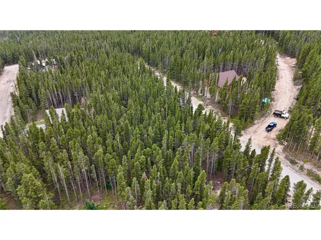 a black and white photo of a park