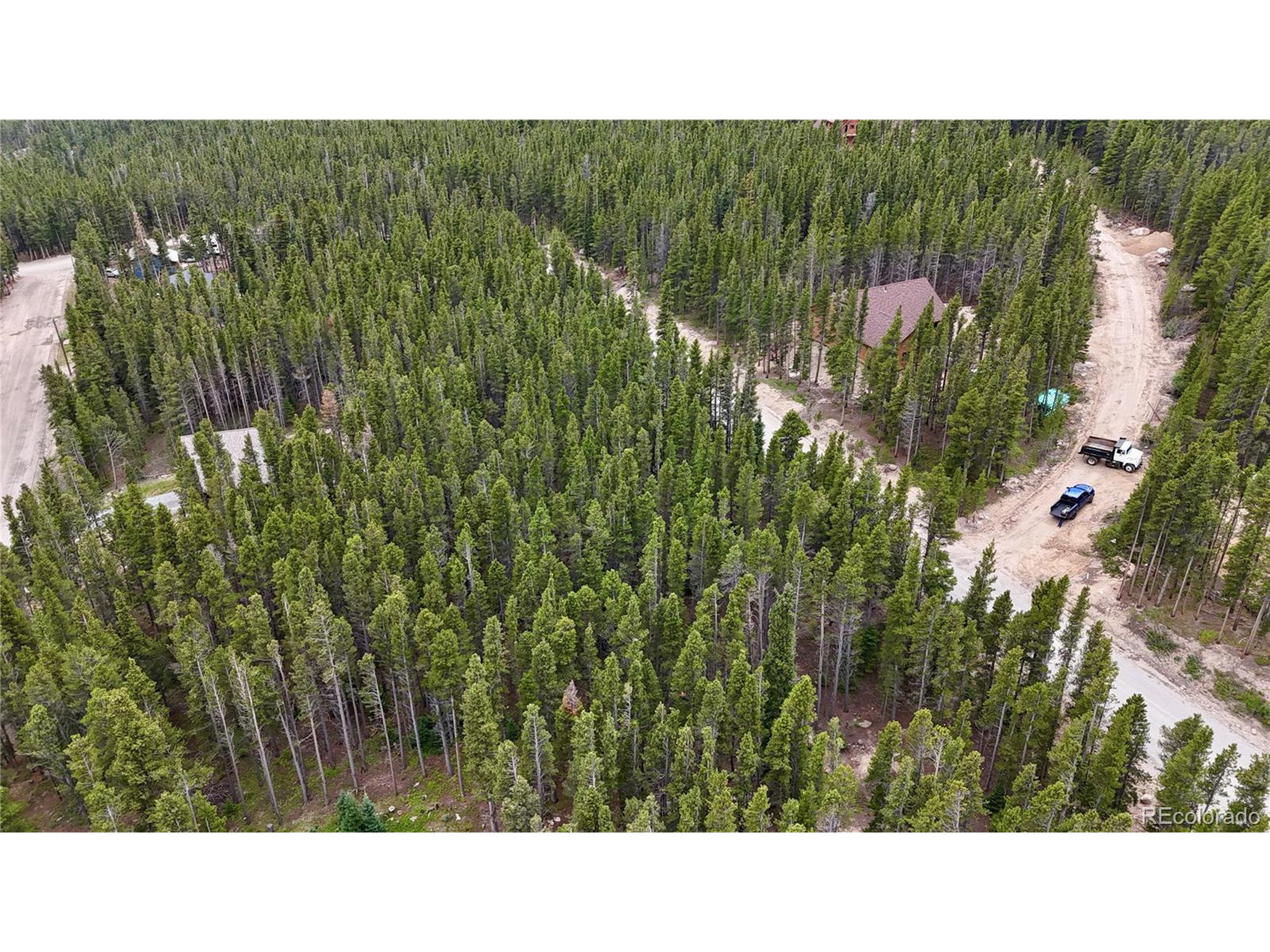 285 Lower Forest Road Idaho Springs, CO 80452 - Photo 11 of 23 a black and white photo of a park