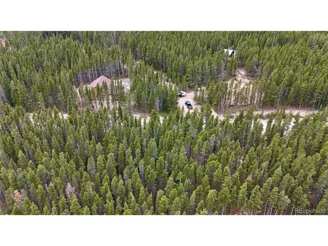 a open area with lots of green trees