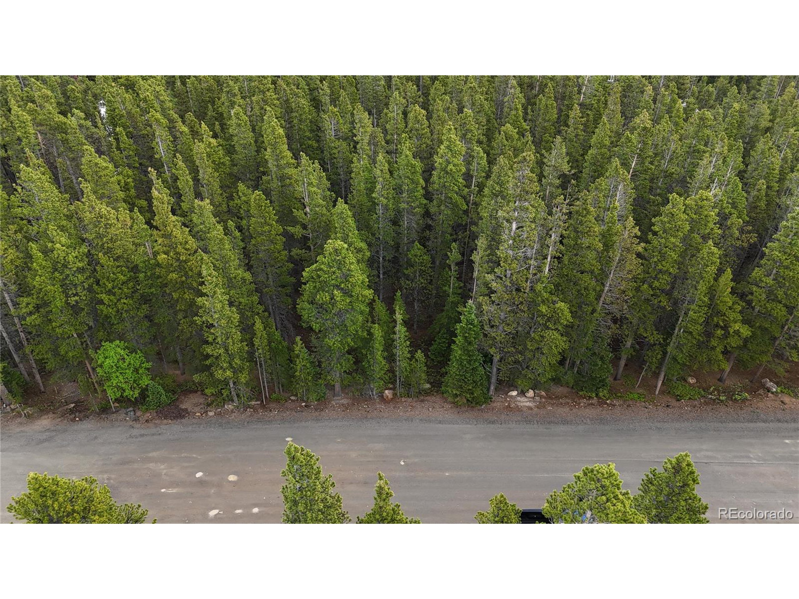 285 Lower Forest Road Idaho Springs, CO 80452 - Photo 17 of 23 a picture of a yard