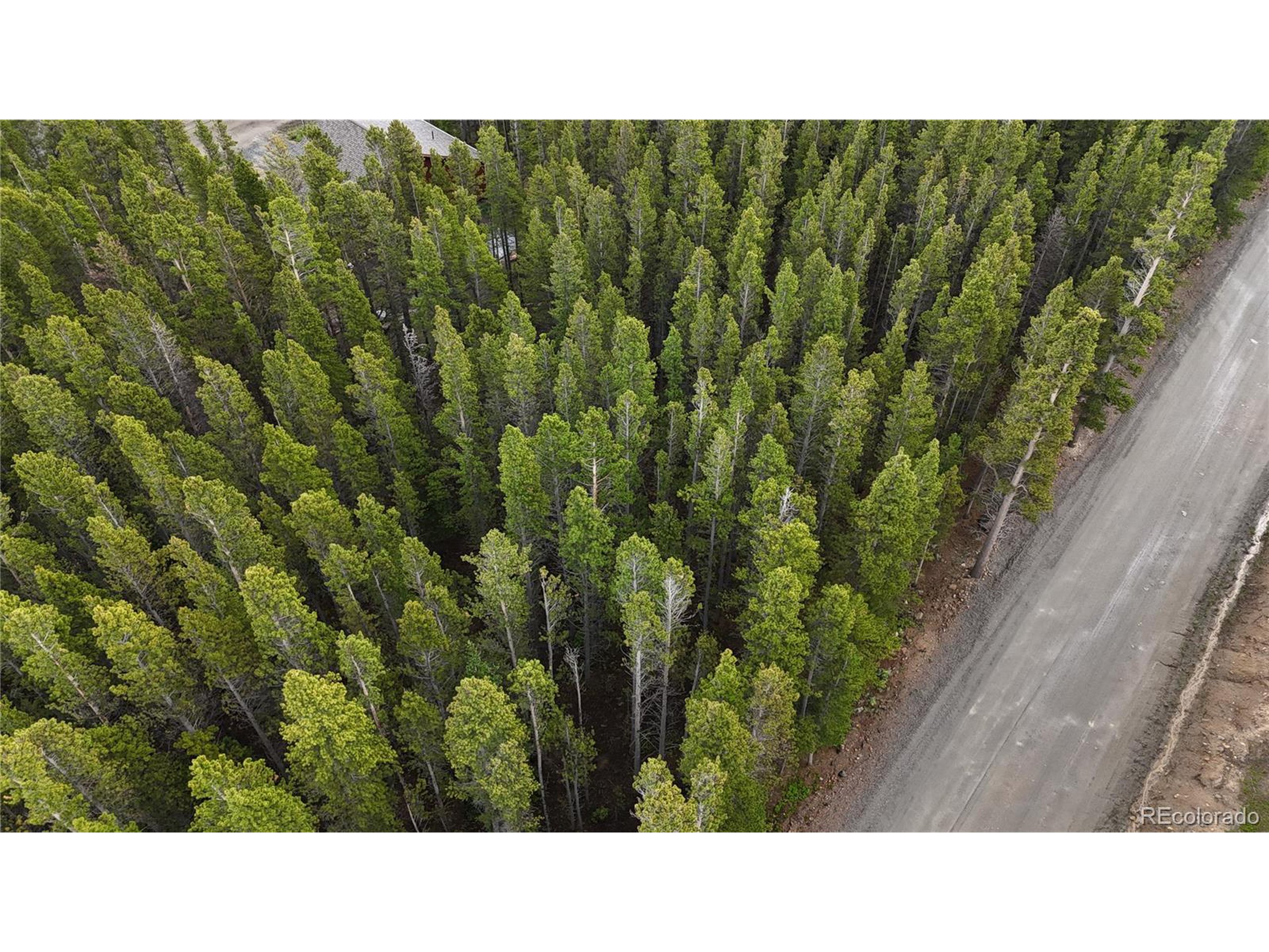 285 Lower Forest Road Idaho Springs, CO 80452 - Photo 21 of 23 a open area with a yard