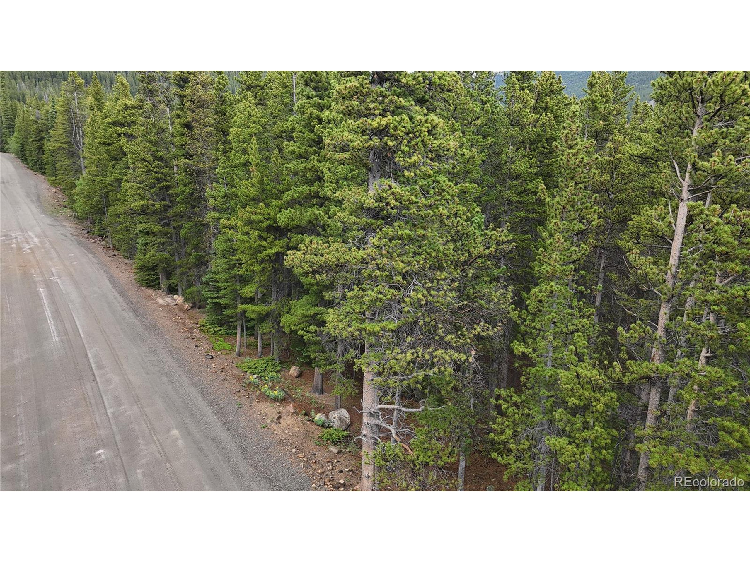 285 Lower Forest Road Idaho Springs, CO 80452 - Photo 23 of 23 a open area of a house