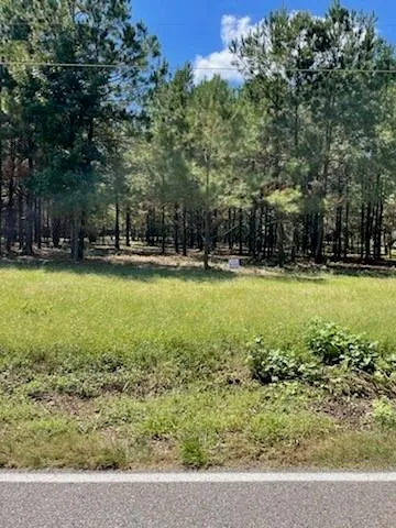 $35,000 | Tbd Ryland Road, Pineville, LA 71360