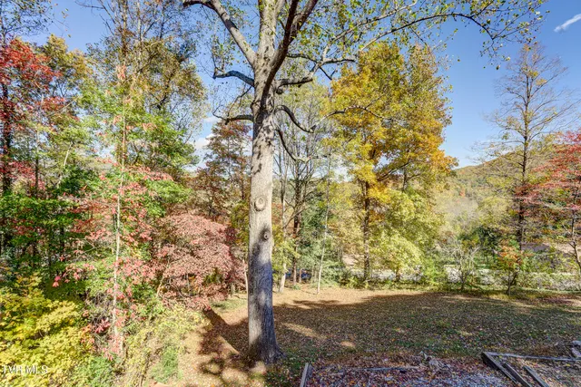 $339,500 | 170 Diane Avenue, Erwin, TN 37650