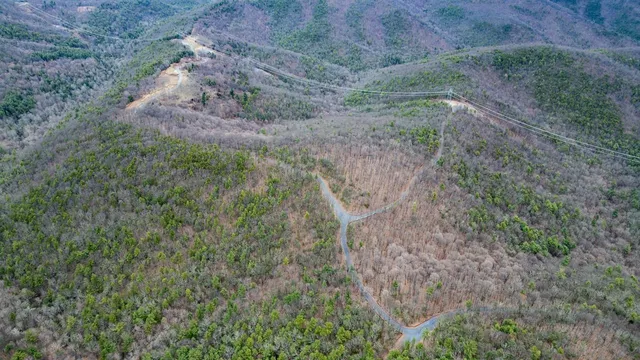 a view of a dry yard with lots of bushes