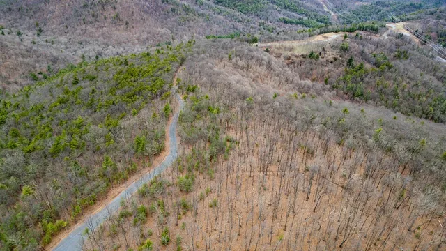 a view of a yard with a pathway