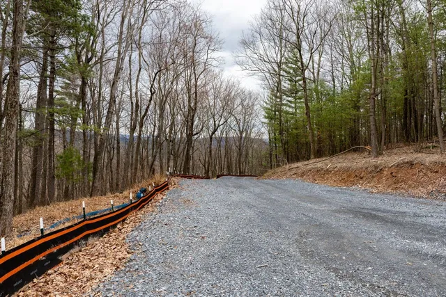 a view of a backyard with large trees