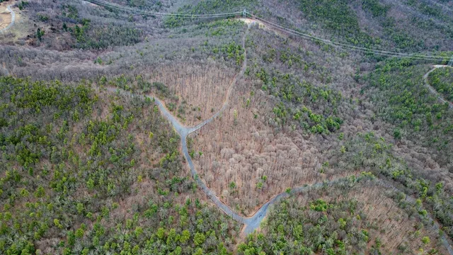 a view of a dry field with lots of bushes