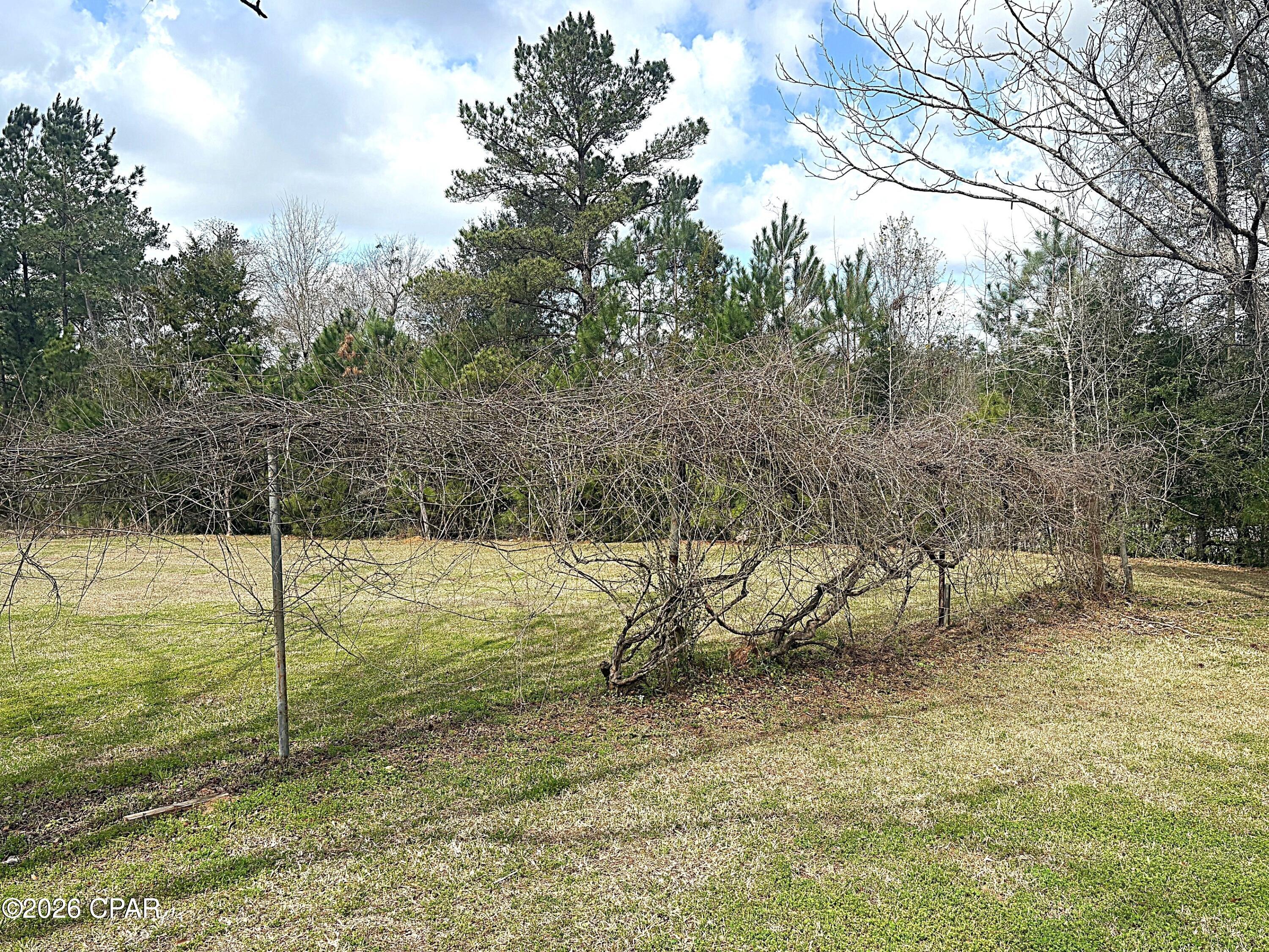 3395 Ontario Road Cottondale, FL 32431 - Photo 68 of 72