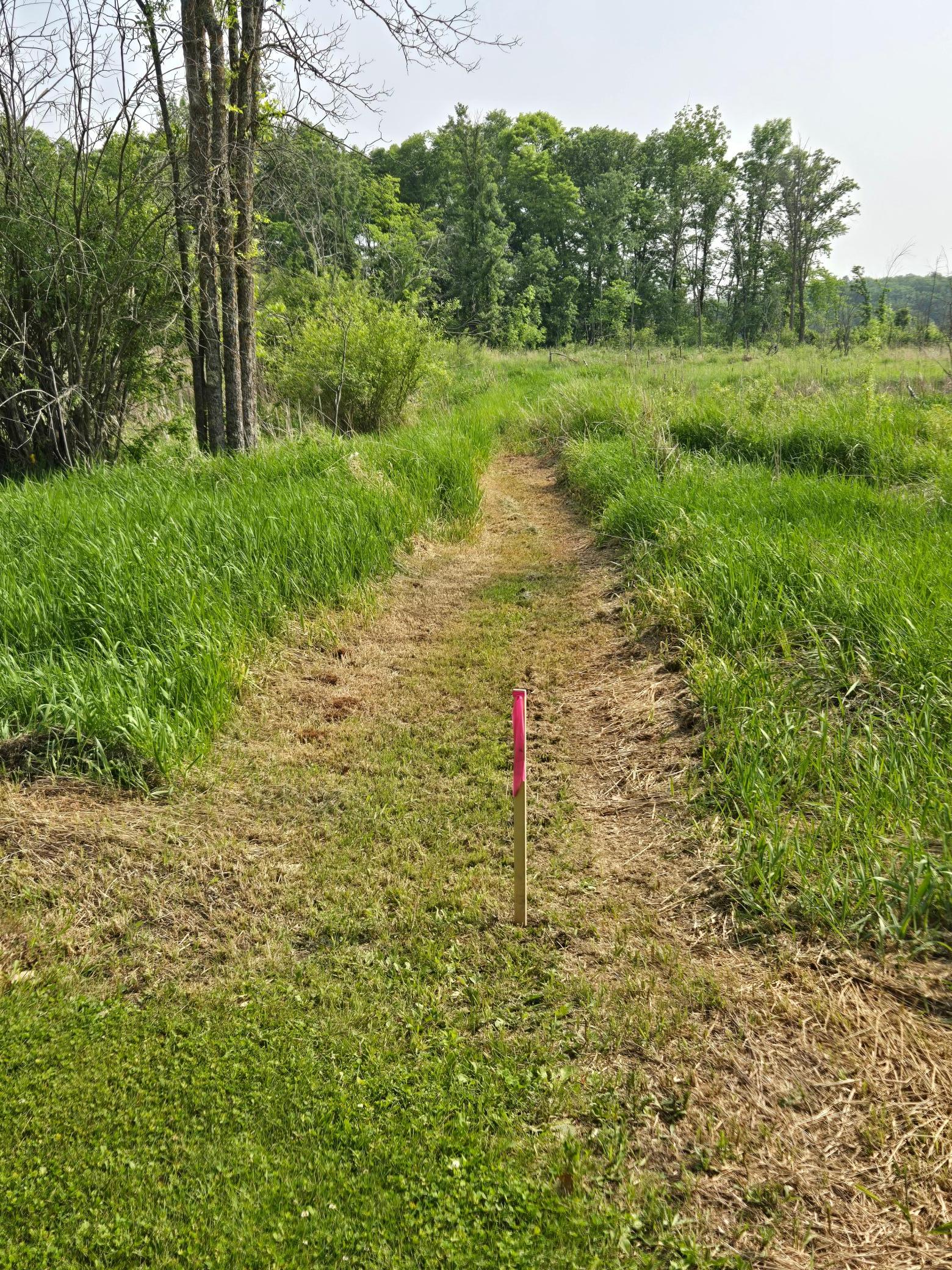 Tbd 360th Street Onamia, MN 56359 - Photo 7 of 10