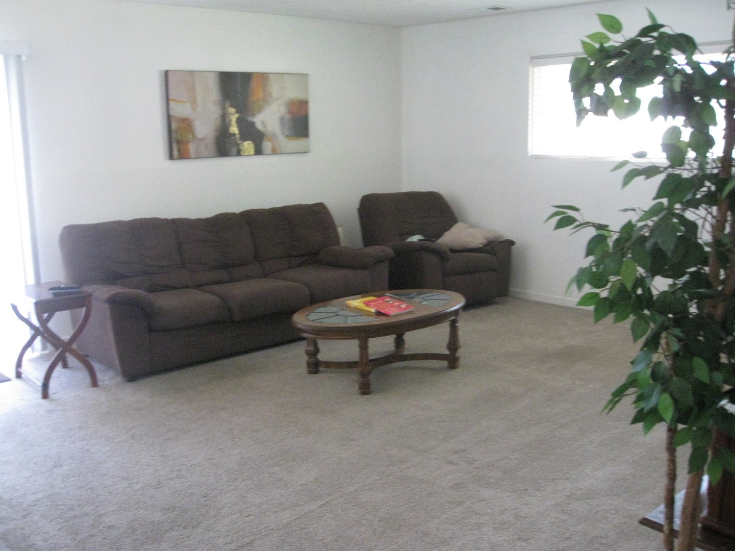 526 Spruce Road Bolingbrook, IL 60440 - Photo 2 of 13 a living room with furniture a window and a potted plant