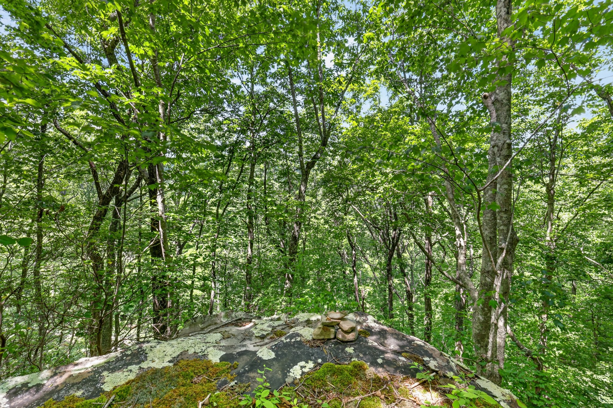1215 Stage Coach Road Sewanee, TN 37375 - Photo 20 of 30 a view of a yard