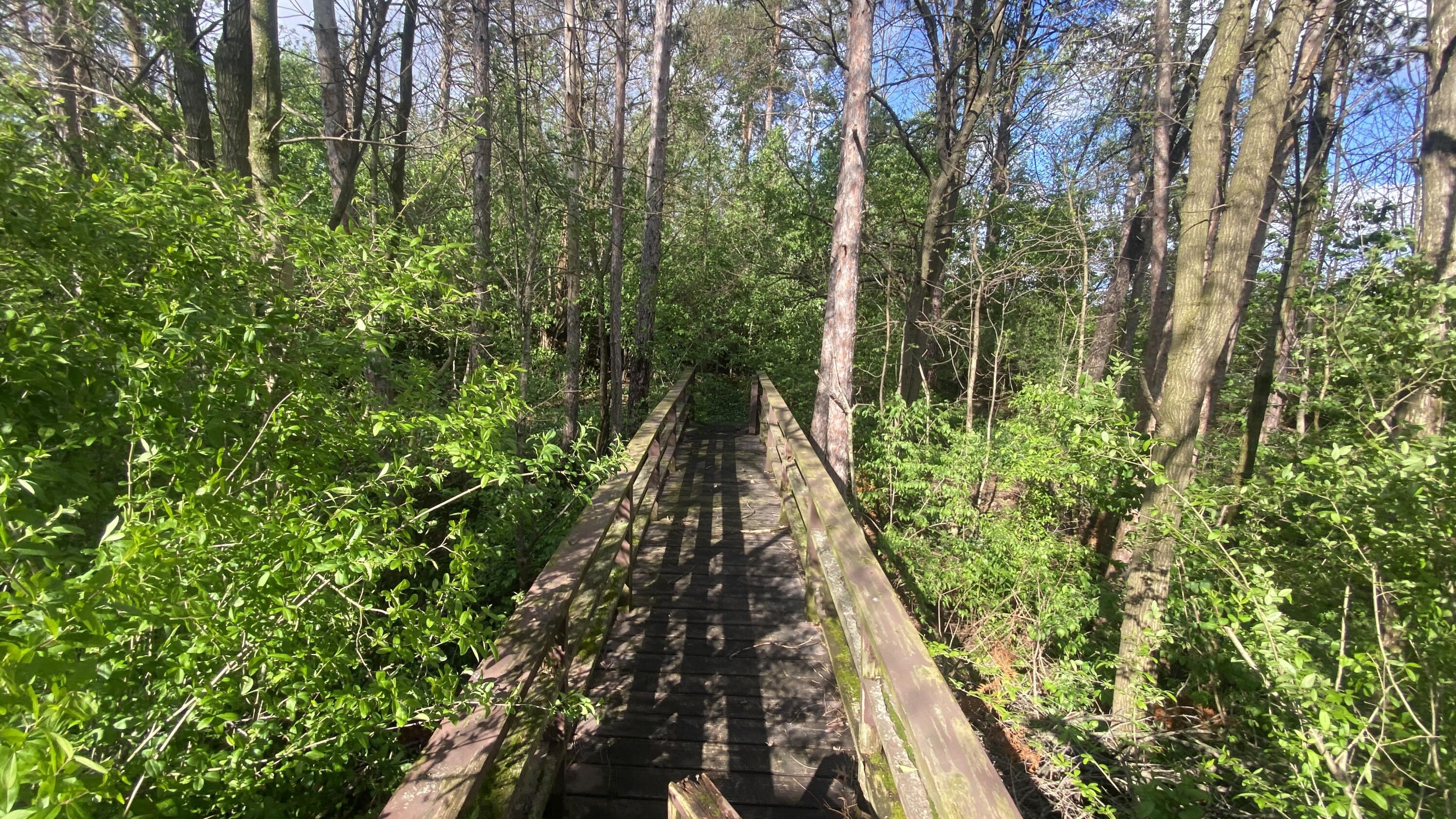 4311 Hogan Court Crown Point, IN 46307 - Photo 58 of 109 3000x1687