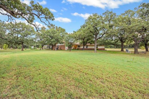 1816 Caddo Peak Road Joshua, TX 76058 - Photo 32 of 38 a view of a field with a tree in the background