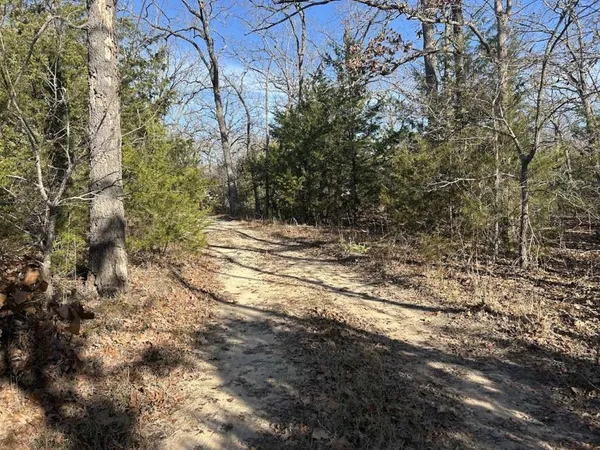 a view of a yard with trees