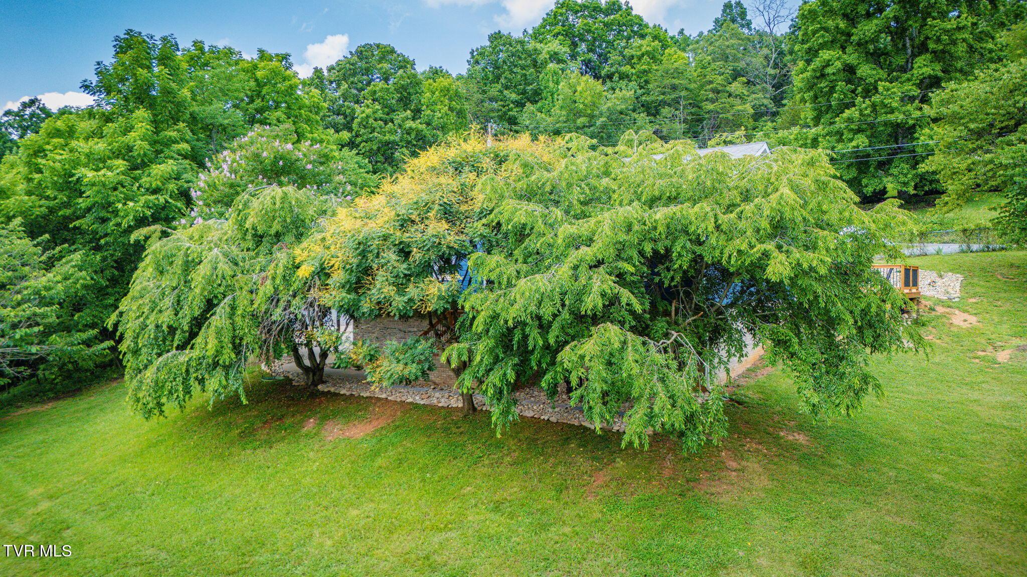 2937 Forest View Road Kingsport, TN 37660 - Photo 46 of 52 103