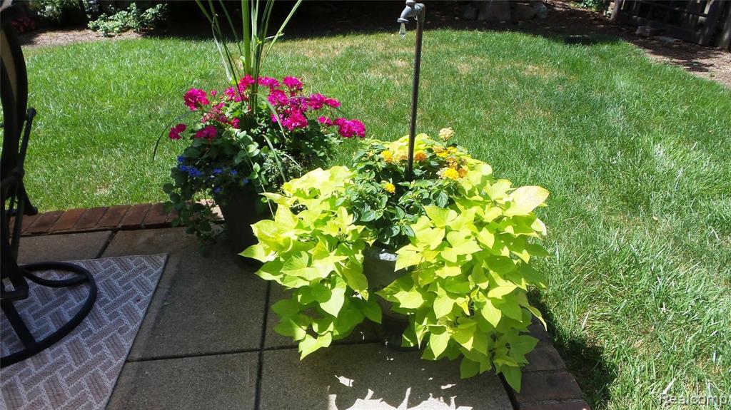 905 Cook Road Grosse Pointe Woods, MI 48236 - Photo 30 of 38