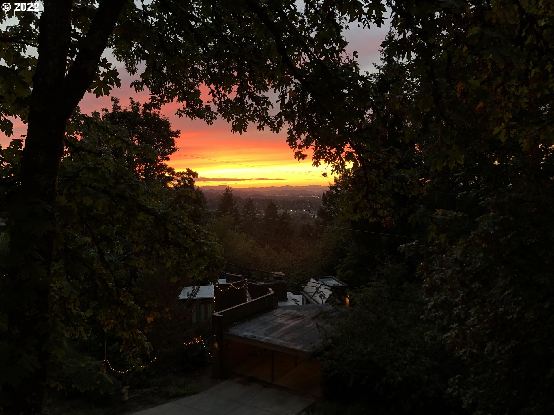2655 Cresta De Ruta Street Eugene, OR 97403 - Photo 25 of 32 a view of a yard in front of the house and trees