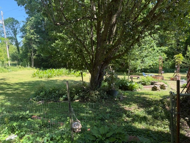 806 Case Road Prospect, TN 38477 - Photo 10 of 38