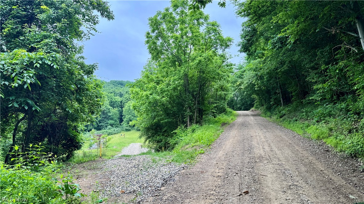 Marlott Run Road Kimbolton, OH 43749 - Photo 22 of 49