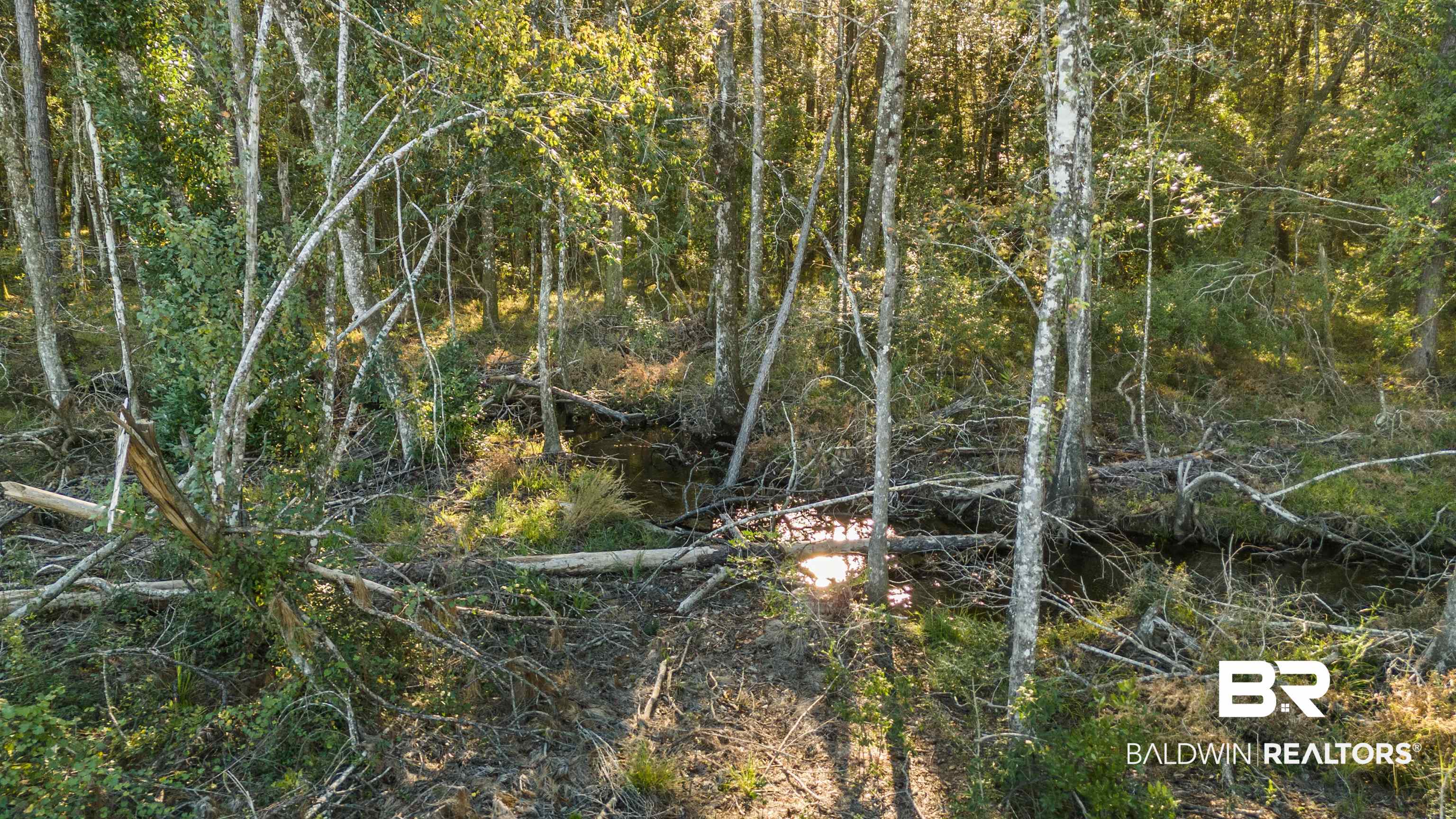 0 County Road 112 Robertsdale, AL 36567 - Photo 28 of 33 View of local wilderness