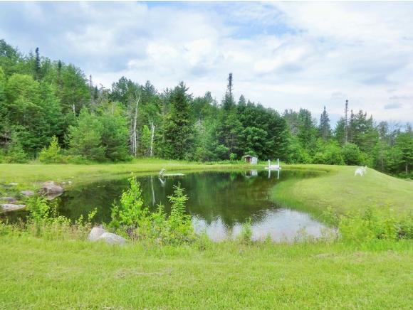220 Jenkins Brook Road Chelsea, VT 05038 - Photo 4 of 17