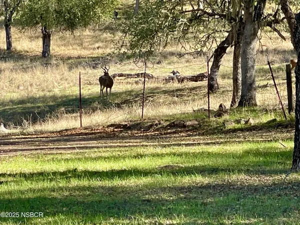 $415,000 | 2328 Lakeview Drive, Bradley, CA 93426