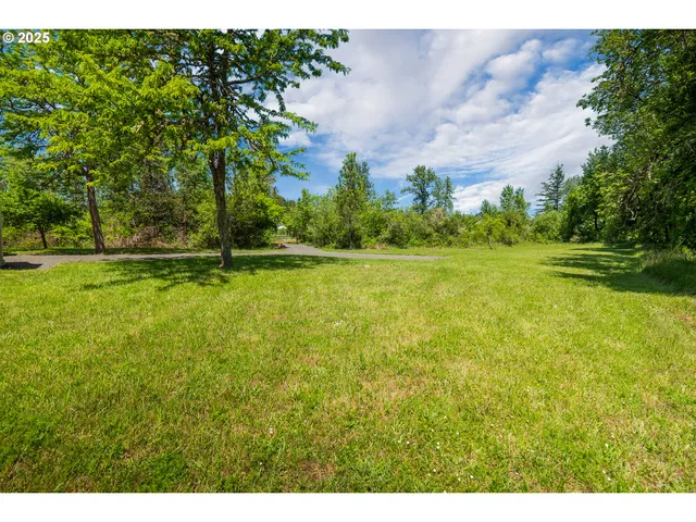 a front view of a house with a yard and trees