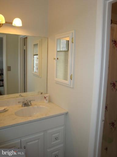 1 Hamill Road, Unit 1D Baltimore, MD 21210 - Photo 19 of 19 a bathroom with a sink and a mirror