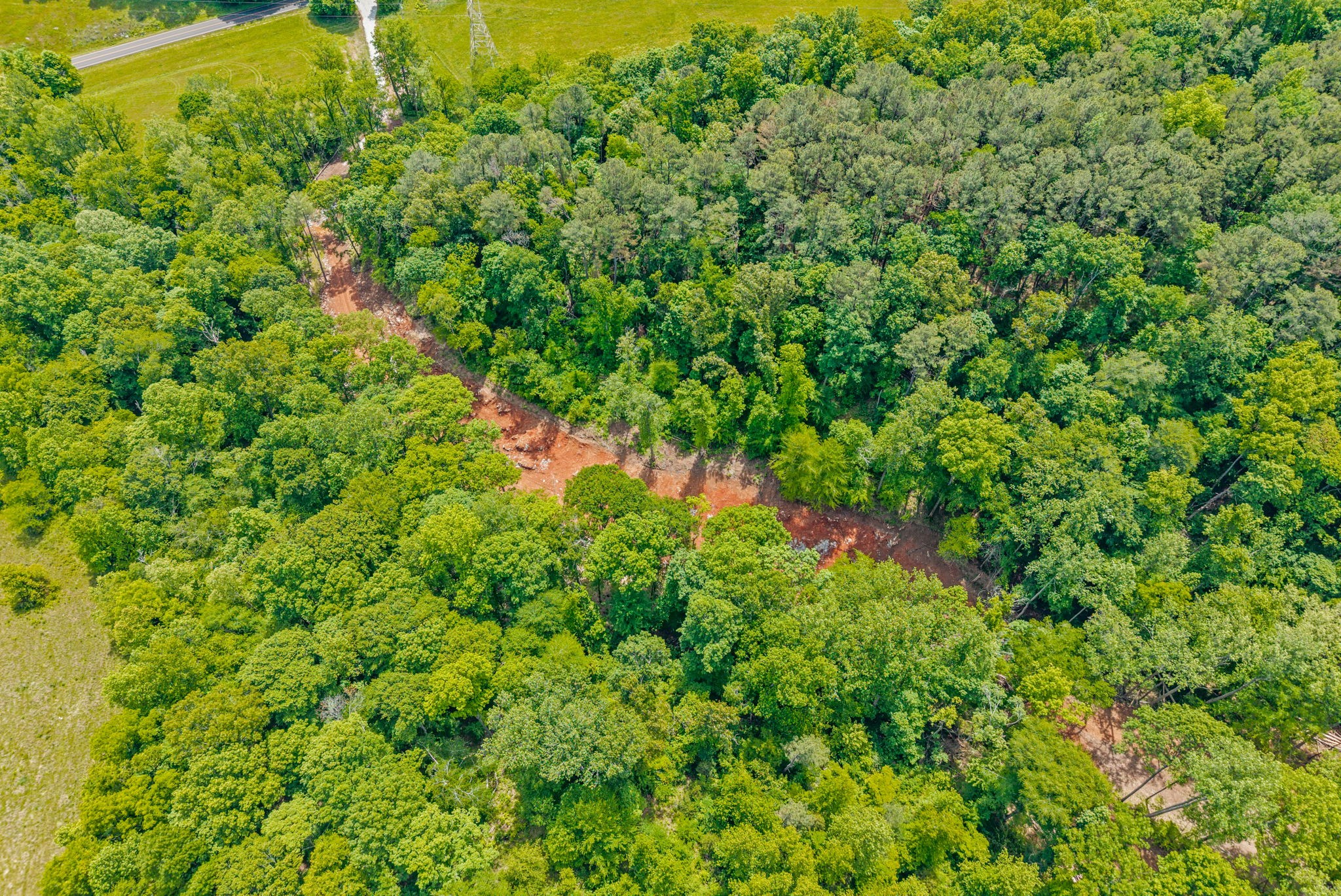 1 Budds Creek Road Palmyra, TN 37142 - Photo 40 of 76
