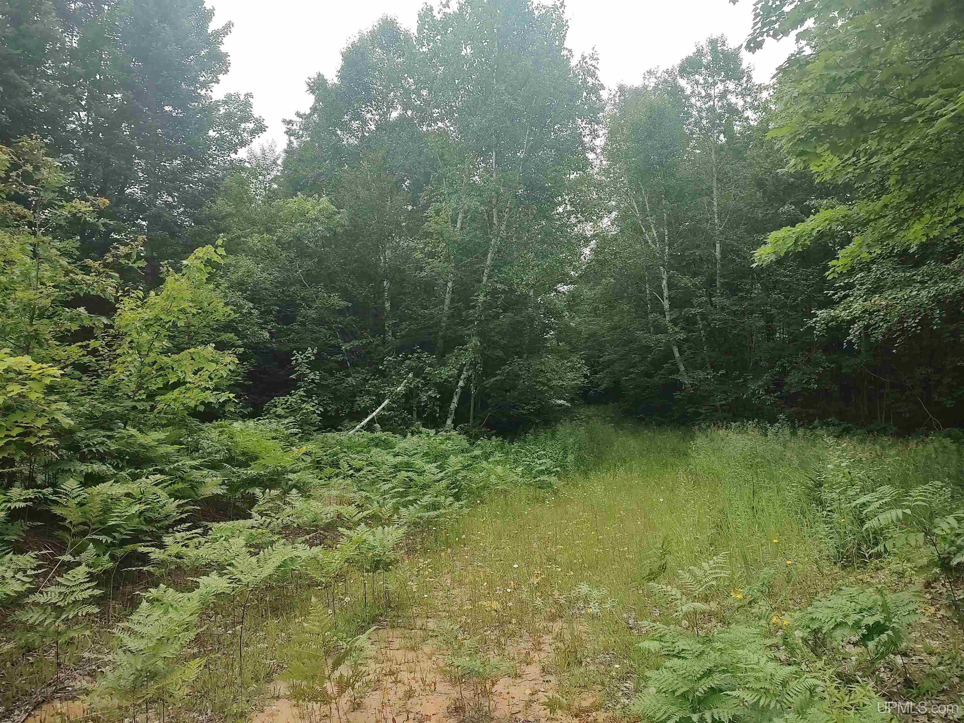 60-acres Sleepy Hollow Road Ishpeming, MI 49849 - Photo 7 of 29