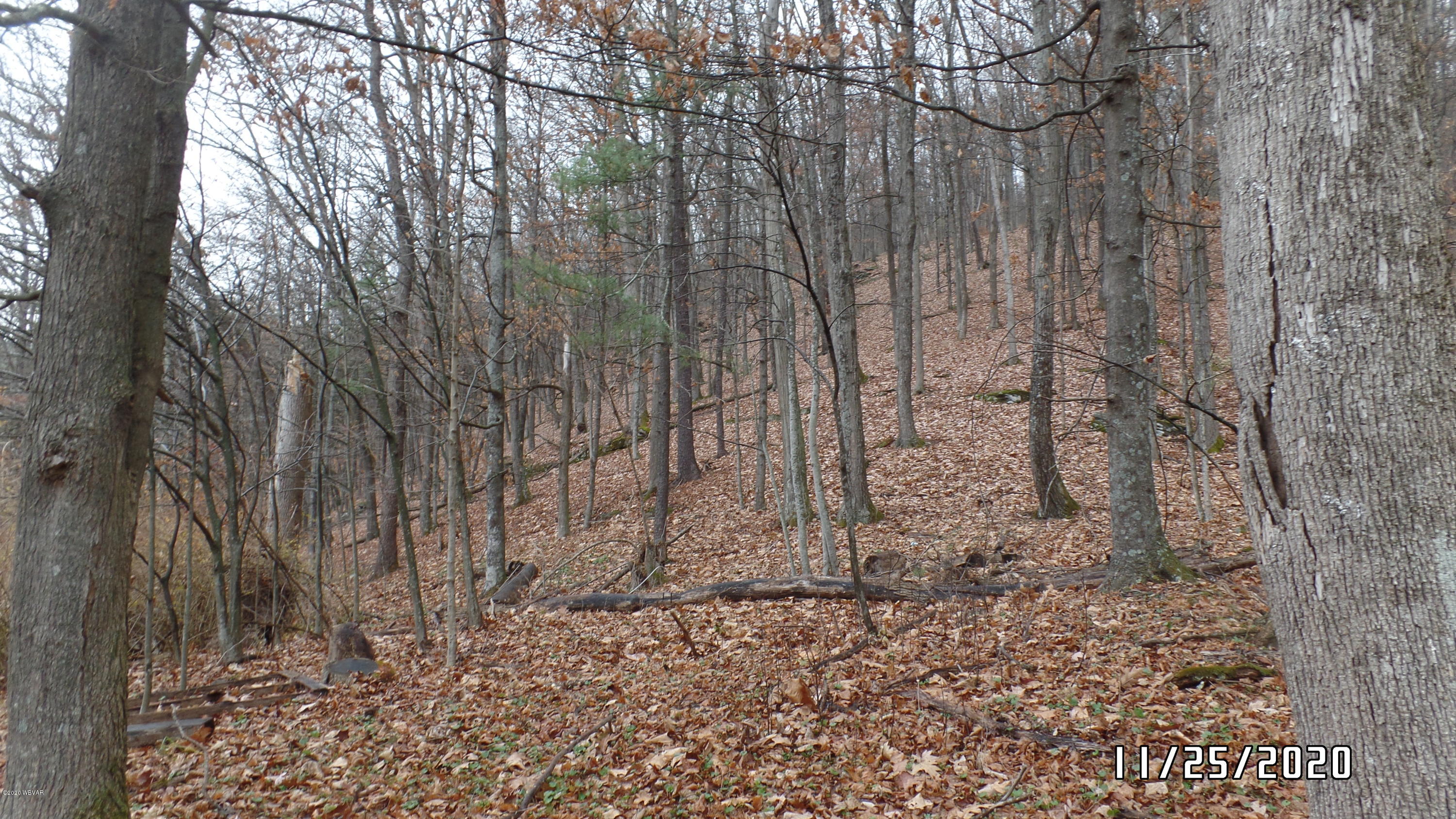 St Michaels Road Cogan Station, PA 17728 - Photo 6 of 6 Gallery Image 6