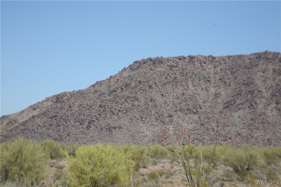 245-24-067a Lorton Road Yucca, AZ 86438 - Photo 2 of 42
