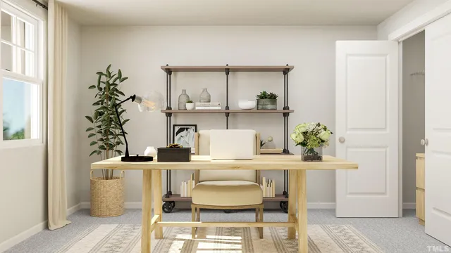 a room with furniture and a potted plant