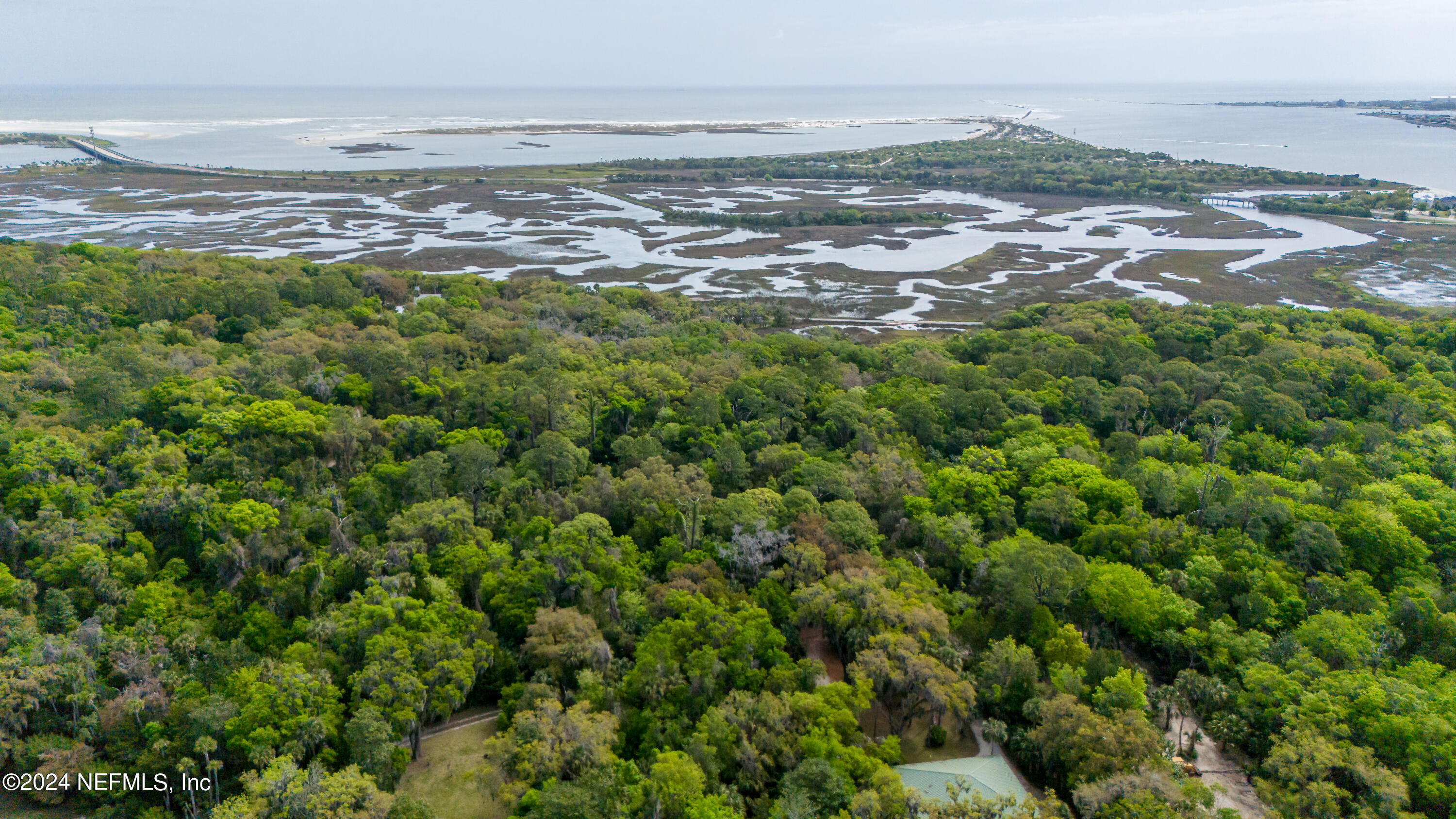 0 Salt Marsh Trail Jacksonville, FL 32226 - Photo 11 of 37 a view of lake view and mountain view