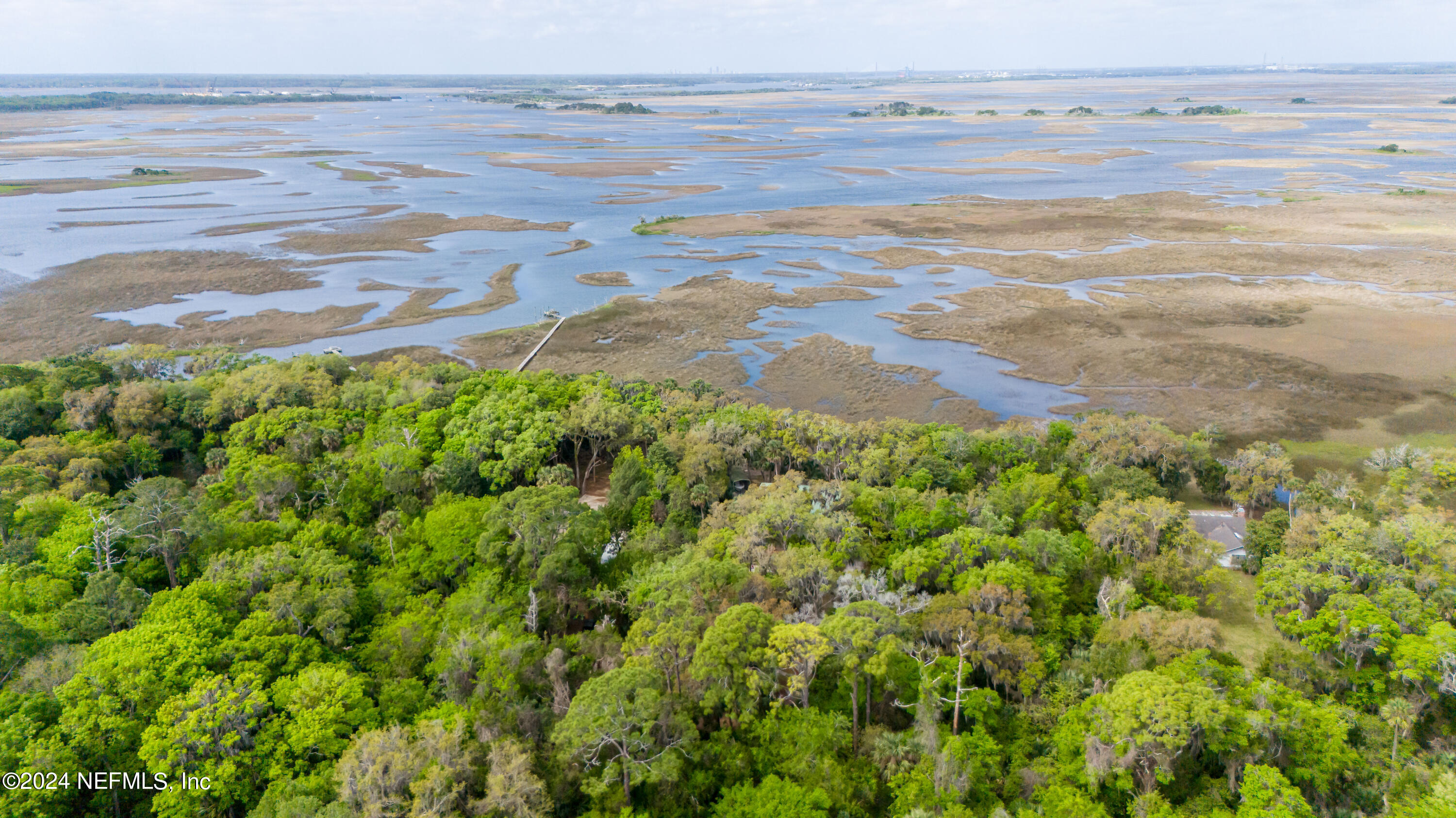 0 Salt Marsh Trail Jacksonville, FL 32226 - Photo 15 of 37 a view of a yard with an outdoor space