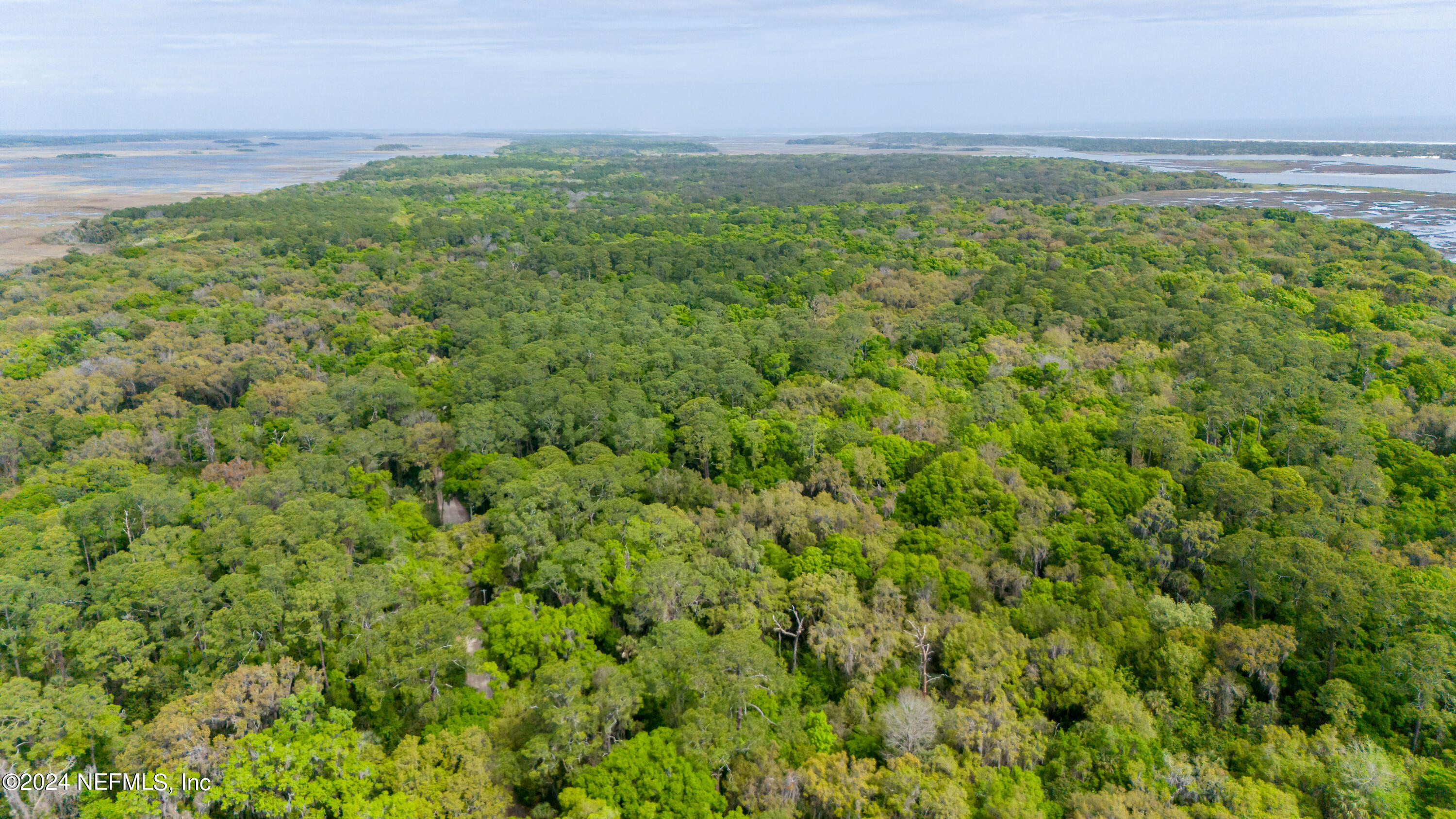 0 Salt Marsh Trail Jacksonville, FL 32226 - Photo 19 of 37 a view of a field with an outdoor space